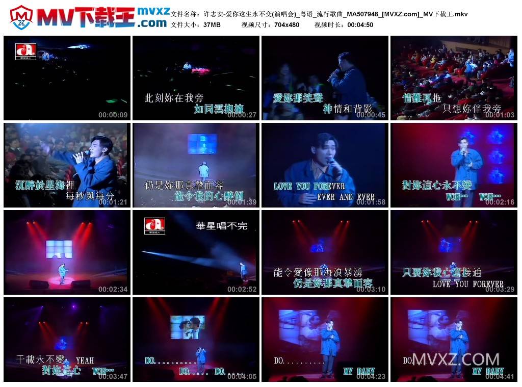 许志安-爱你这生永不变(演唱会)_粤语_流行歌曲_MA507948